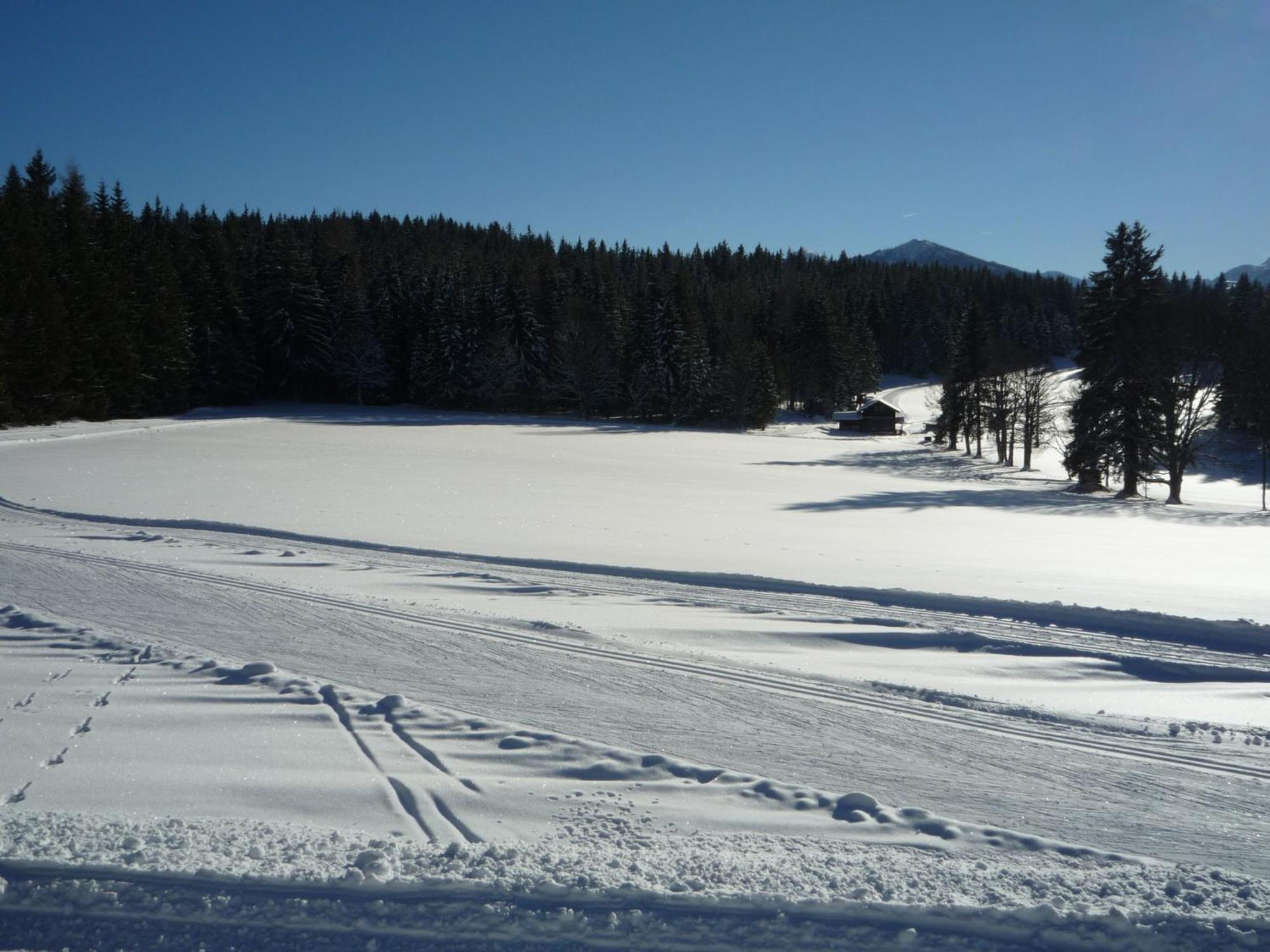 Kraftplatz Am Dachstein - Herold - Fuer Ruhesuchende Und Sportlich Aktive Рамзау ам Дахщайн Екстериор снимка