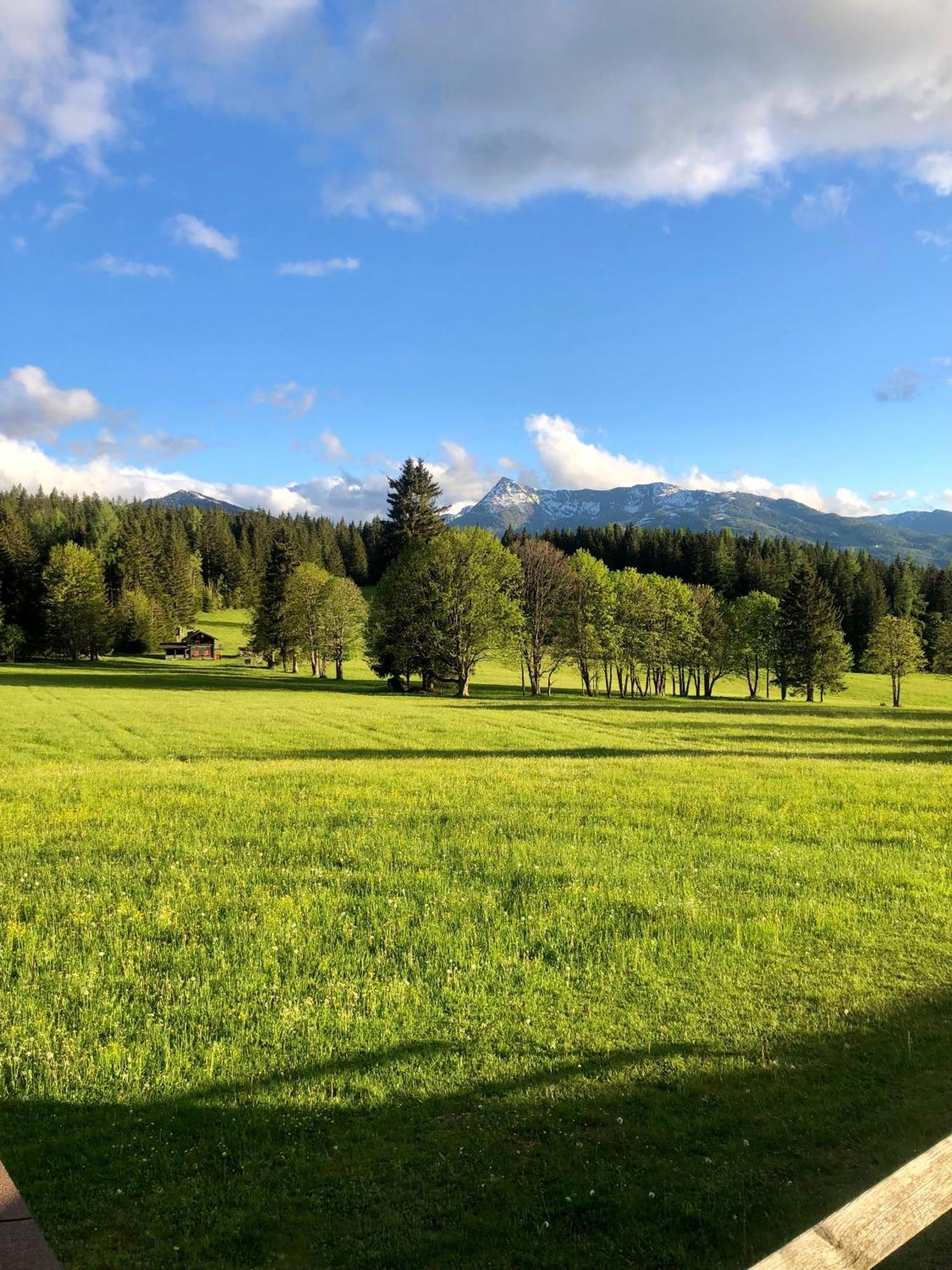 Kraftplatz Am Dachstein - Herold - Fuer Ruhesuchende Und Sportlich Aktive Рамзау ам Дахщайн Екстериор снимка